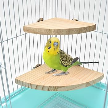 Amazon | 【CS Cutespace cute+space】 インコ とまり木 (2個
